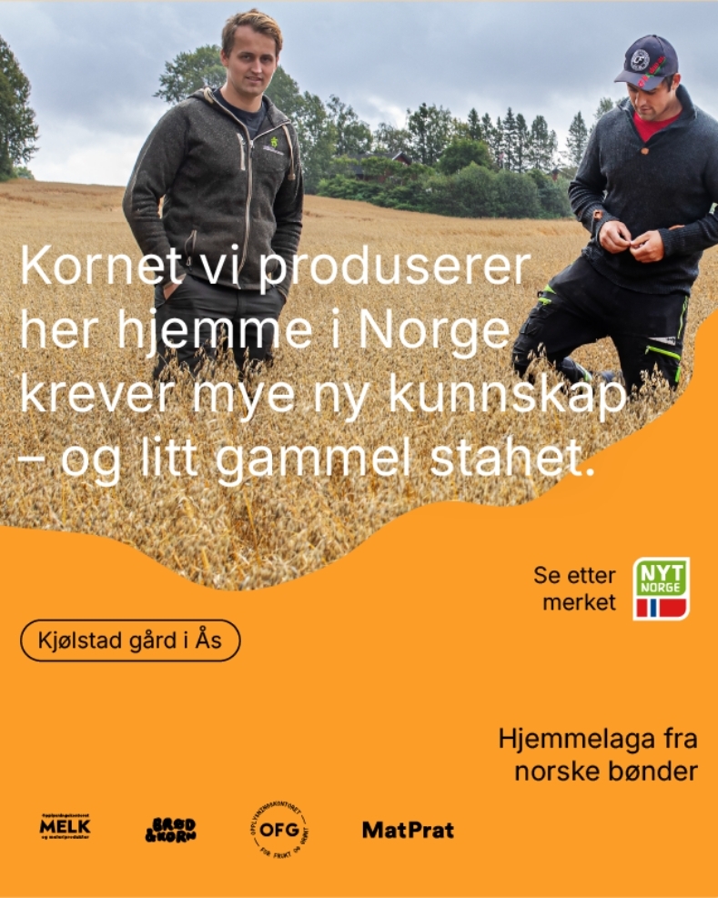Hjemmelaga Opprinnelsesmerking eksempelbilde 02