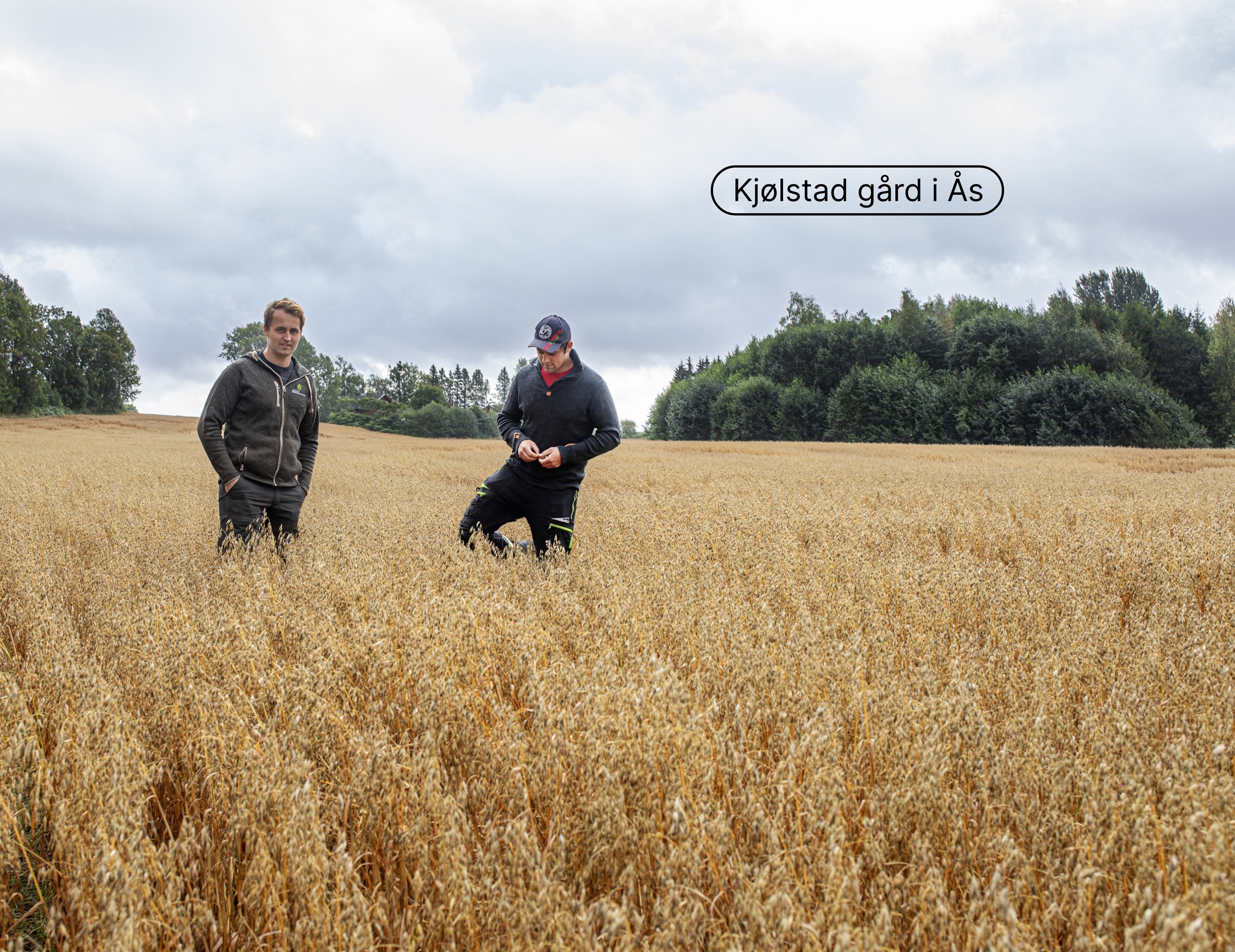 Hjemmelaga Opprinnelsesmerking headerimage